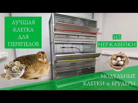 Видео: Модульная клетка для перепелов | Живая усадьба