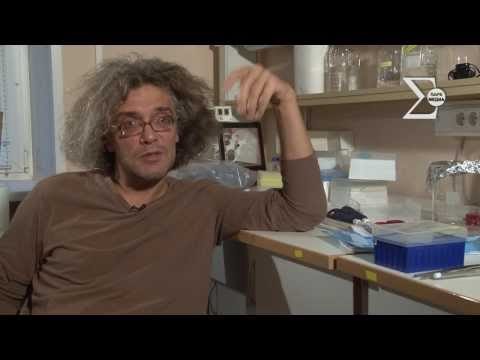 Видео: Константин Северинов о том, почему интересно заниматься наукой