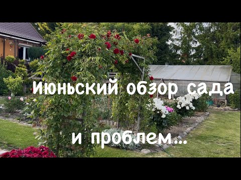 Видео: Июнь.Обзор сада и проблем
