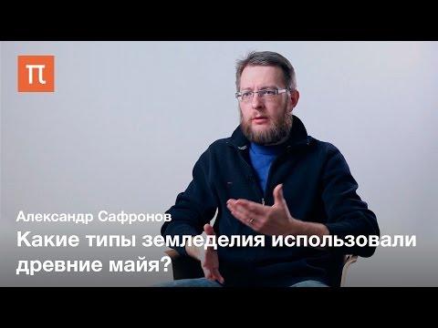 Видео: Экономика и земледелие древних майя — Александр Сафронов