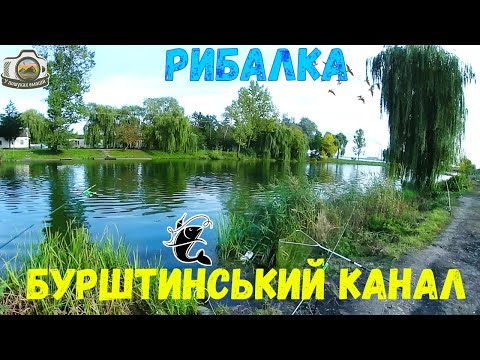 Видео: Бурштинський канал. Рибалка в осені 2022 р. на виході каналу.