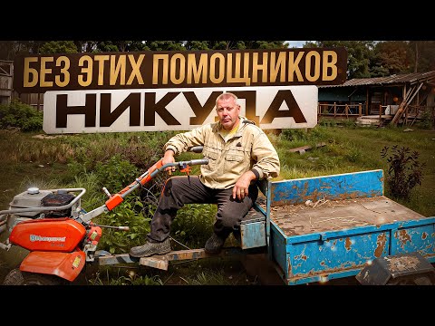 Видео: Невероятно, но ФАКТ: без этих помощников 🛠️ я бы не справился! 💪 #МоеПодворье