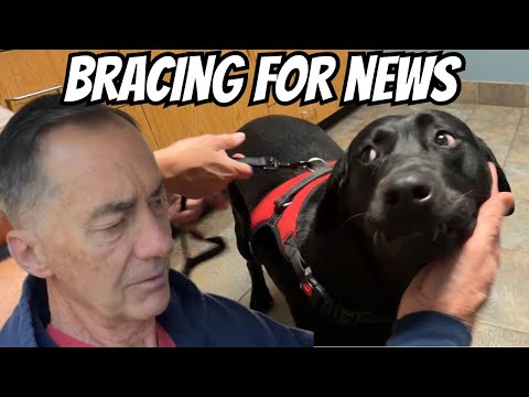 Видео: Ожидание было невыносимым! Нам нужен был хороший отчёт...