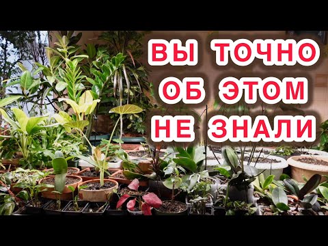 Видео: Нет сил больше молчать... пора все рассказать! Вся правда о рекламе