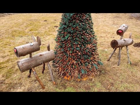 Видео: Музей сушилки сосновых шишек, костровое место Роела. Эстония.