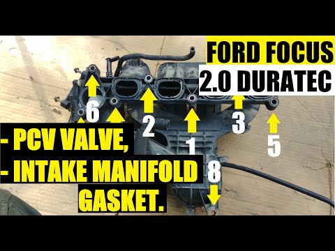 Видео: FORD FOCUS 2.0L DURATEC: КЛАПАН PCV, ШЛАНГ И ПРОКЛАДКА ВПУСКНОГО КОЛЛЕКТОРА (последовательность б...