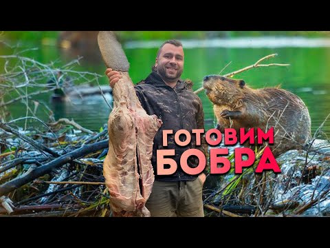 Видео: ЖАРКОЕ ИЗ БОБРА.  ТОП-1, БЛЮДО ИЗ БОБРА 🍖