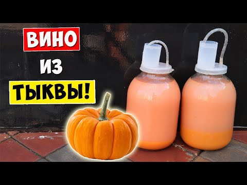 Видео: ВИНО из ТЫКВЫ! Очень Вкусное Вино!!! Простой Рецепт / Pumpkin Wine