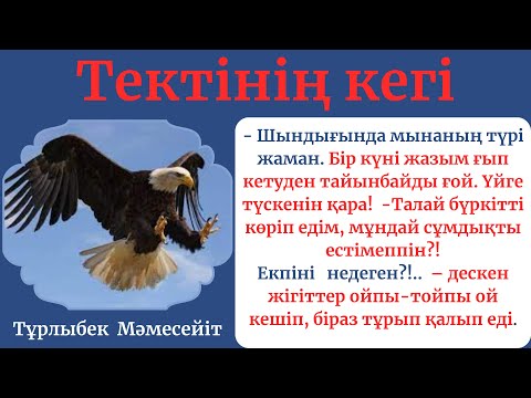 Видео: Тектінің кегі. Қызық әңгіме. Тұрлыбек Мәмесейіт
