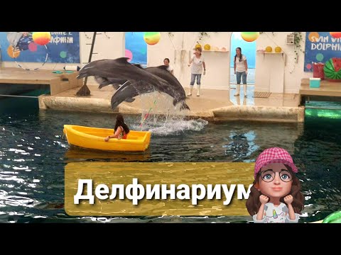 Видео: Делфинариум Варна и МАМА ПРИ ДЕЛФИНИТЕ 🐬🐬