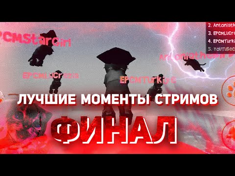 Видео: Лучшие моменты стримов ФИНАЛ!!! Симулятор кошки 2015!