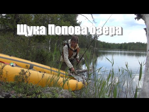 Видео: По озёрам Карелии к морю Белому.  Часть 2.  Щука Попова озера.