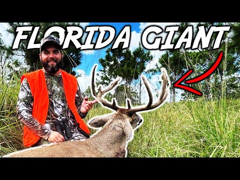 Видео: ГИГАНТСКИЙ ФЛОРИДСКИЙ ОБЩЕСТВЕННЫЙ ЗЕМЕЛЬНЫЙ УЧАСТОК