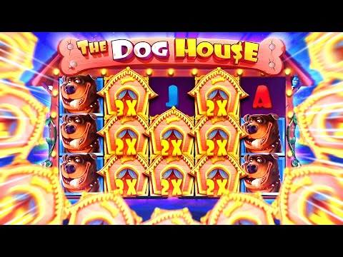 Видео: СЛОВИЛ x1000 ПО ОГРОМНОЙ СТАВКЕ В DOG HOUSE (ТАКТИКА СРАБОТАЛА)🔥