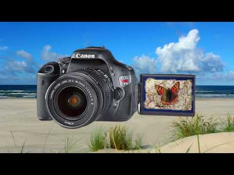 Видео: Autumn Curonian spit #lithuania  #canonrebel  2025.09.Осенняя Куршская коса #литва #canonrebelt3i