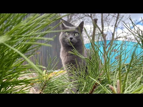 Видео: 255 Пришла весна 🌦️ Маму  везем в деревню 🤩 Открыли дачный сезон 🤩