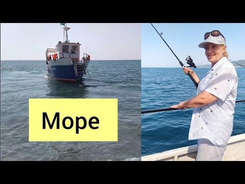 Видео: Лазаревское 2025. Морская рыбалка #море #лазаревское #рыбалка 