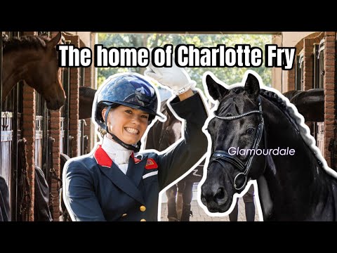 Видео: Экскурсия по конюшне VAN OLST HORSES