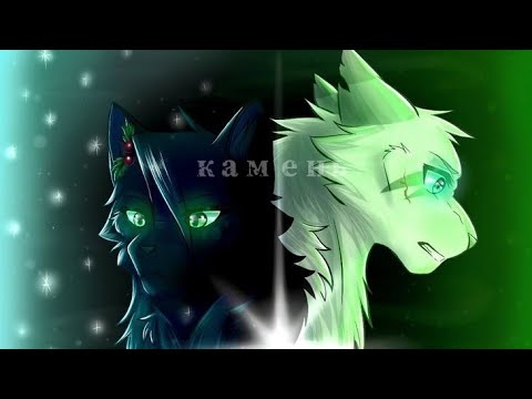 Видео: Искра&Остролистая:«Камень»//Коты Воители