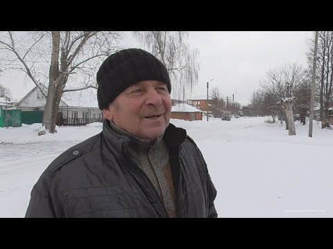 Видео: В гостях у Александра. п. Шилово. Бойные голуби. Турецкие, бакинские..