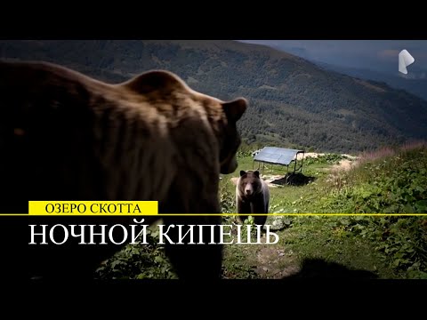 Видео: На пьедестале ВСЕЛЕНСКИХ НЕДОХОДЯГ РАЗОБЛОЧИЛИСЬ НОЧНОЙ КИПЕШЬ о Скотта Кавказ, Псебай,  Туризм