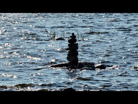 Видео: Движение на велосипеде 🚴‍♂️