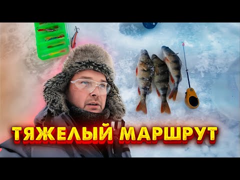 Видео: НА ДАЛЬНИЕ ЯМЫ ЗА ОКУНЕМ. НАШЁЛ ЗИМОВКУ ЩУКИ.