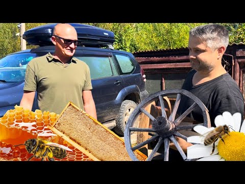 Видео: БЕЛАРУСЬ 🍯 СЛАДКОЕ УГОЩЕНИЕ ОТ АНТОХИ 🐝НАСЫЩЕНННАЯ ЖИЗНЬ СЕМЬИ НА НЕТИПИЧНОМ ХУТОРЕ. 