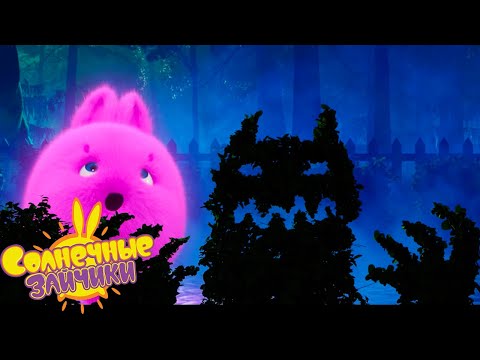 Видео: Кошмарный ужас - Солнечные зайчики | Сборник мультфильмов для детей