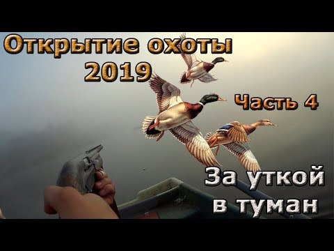 Видео: Открытие осенней охоты 2019 . Часть 4. За уткой в туман.