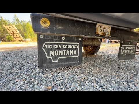 Видео: Низкобюджетный ярусный отлов! #historychannel #mountainmen #wolftrapper #coyotetrapper