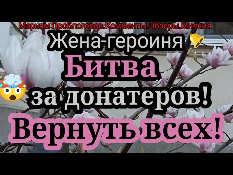 Видео: Жена Героиня.Сутками сидит на чужих стримах,читает чужие комменты.Скринила донаты И посылала Мужу?