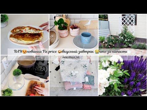 Видео: 😍Что я нашла в Fix price🍽ЗАВТРАК💕Обзор розария⚘️ОБАЛДЕННЫЕ НОВИНКИ Любимый Василек