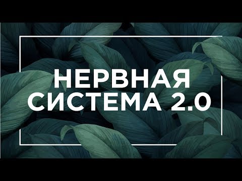 Видео: Что такое Нервная система 2.0 | ЕГЭ Биология | Даниил Дарвин