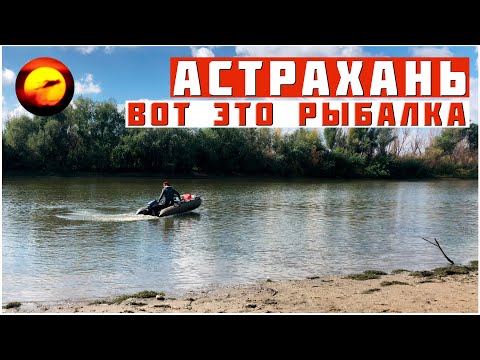 Видео: Вы это ВИДЕЛИ? РЫБАЛКА ПРОСТО МЕЧТА / Шикарный Отдых на Природе с Ночевкой