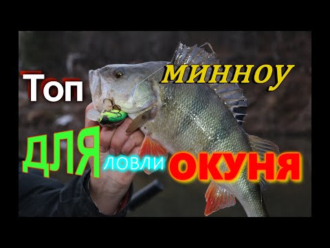 Видео: ТОП воблеров-минноу для ловли ОКУНЯ
