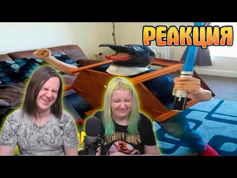 Видео: ЗАСМЕЯЛСЯ - ПОДПИСАЛСЯ!! ЛУЧШИЕ ПРИКОЛЫ 2022 ТЕСТ НА ПСИХИКУ УГАР! #725 | РЕАКЦИЯ НА Союз Смеха |