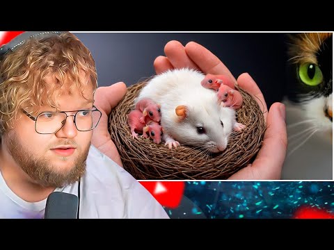 Видео: СТЕПА ЗАБЕРЕМЕННЕЛ И РОДИЛ ДЕТЕЙ 🤷‍♂️ / РЕАКЦИЯ T2X2