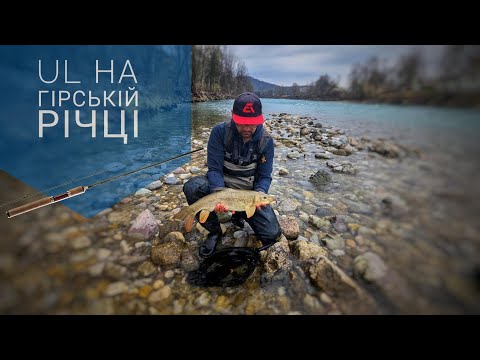 Видео: Харіус, форель та марена. Ультралайт спінінг на гірський річці.