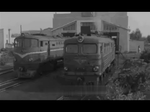 Видео: Твоя безопасность  1968