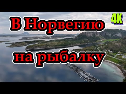 Видео: Норвегия мы уже скоро. путешествия в Норвегию, дорога, мосты паромы 4K