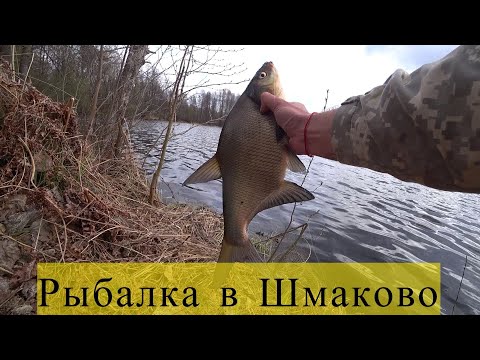 Видео: Рыбалка в Шмаково,Лещ,плотва и всякое зверье)