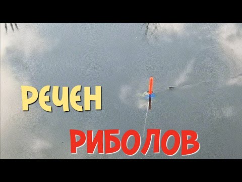 Видео: КЕФАЛИ в ДЪЖДА. ХВАНАХ СКОБАР на ТОРЕН ЧЕРВЕЙ