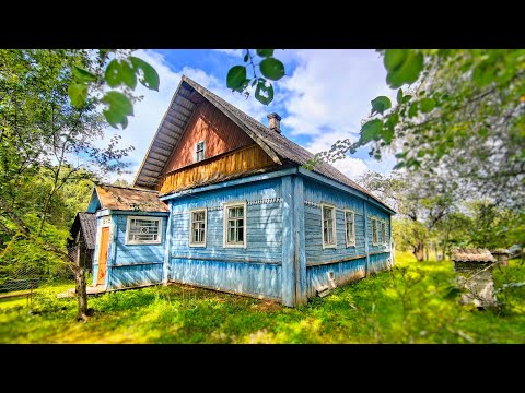 Видео: д.Пикали дом + 83 сотки 450.000₽ // ОБЗОР НЕДВИЖИМОСТИ