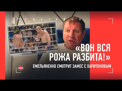 Видео: "Харитонов вышел ЗАХИМИЧЕННЫЙ!" - Емельяненко смотрит ТОТ САМЫЙ БОЙ