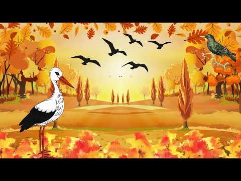 Видео: Перелітні птахи восени