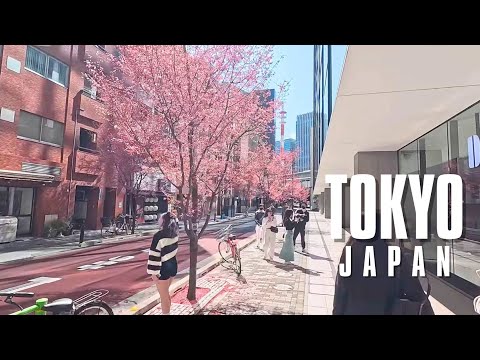 Видео: Пешая экскурсия по Токио весной 2025 г. 4K 60 кадров в секунду HDR