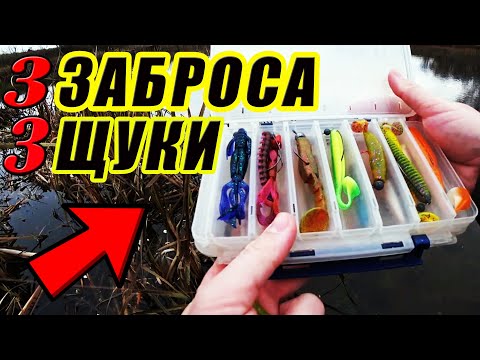 Видео: Щука є, ГОЛОВНЕ … Ловля Щуки восени з берегу на мікро ставку.