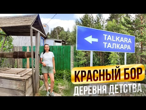 Видео: 🇰🇿 ТАЛКАРА (КРАСНЫЙ БОР), Аккольский район | Путешествие в места ДЕТСТВА | Казахстан, июль 2022