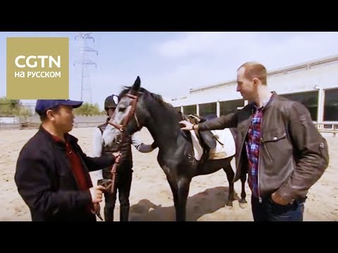 Видео: Какие породы лошадей существуют в Китае？ [Age 0+]